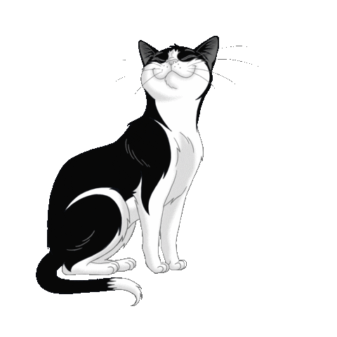 purinaoesterreich giphyupload happy music cat Sticker