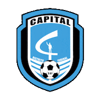 Capitalmonograma Sticker by CapitalCF