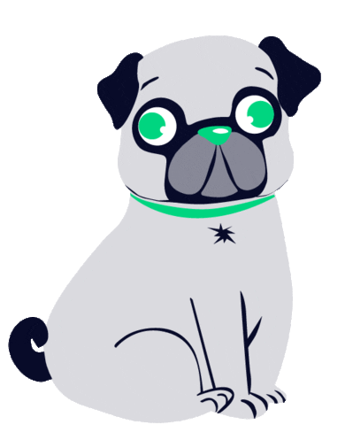 leagasdelaneyhamburg giphyupload dog jump pug Sticker