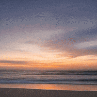 Beach Sbovia GIF by Sbovia