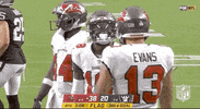 Regular Season Football GIF by NFL
