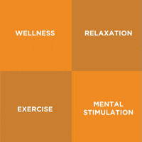 Dog Daycare Petcare GIF by Wag Hotels