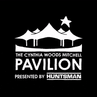 woodlandspavilion music concert livemusic rockmusic GIF