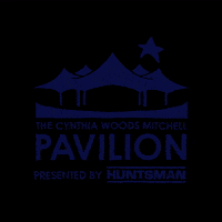 woodlandspavilion music concert livemusic rockmusic GIF