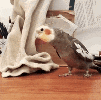 GIF by Mashable