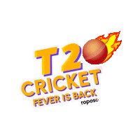 Mumbai Indians Run Sticker by Roposo