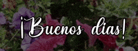 Stars Flowers GIF by Raveloteca;