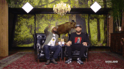 idc GIF by Desus & Mero