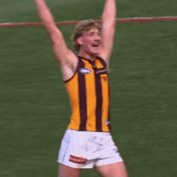 Hawthorn Hawks GIF