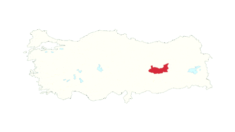 Anef Sticker by elaziglilarfederasyonu