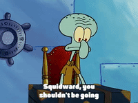 season 3 GIF by SpongeBob SquarePants