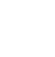 Motocicletas Sdr Sticker by Triumph Brasil