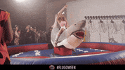 bullettime GIF by Theflug360