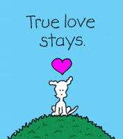 GIF by Chippy the Dog