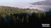 Twin Peaks Part 14 GIF by Twin Peaks on Showtime
