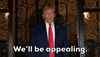 New York Trump GIF by GIPHY News