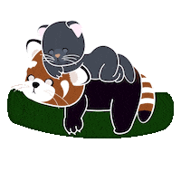 Cat What Sticker