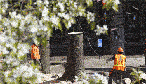 fail GIF by hateplow