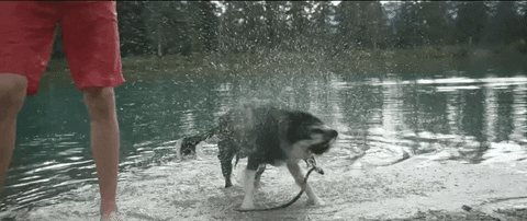 shake dry off GIF by Much
