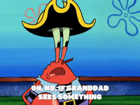season 6 grandpappy the pirate GIF by SpongeBob SquarePants