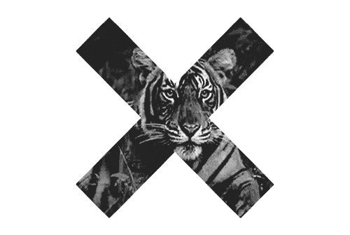 black and white x STICKER
