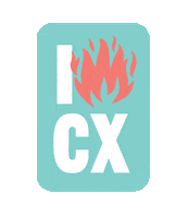 Friedchicken Sticker by CHIX