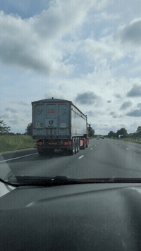 GIF by Stella 52