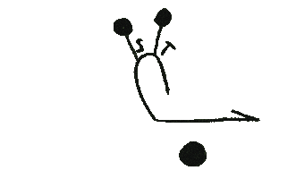 Question Mark Sticker by Island Records UK