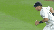 New York Yankees GIF by Jomboy Media