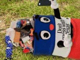 Spring Selfie GIF by Don't mess with Texas