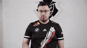 Excuse Me Seriously GIF by G2 Esports
