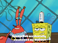 season 4 enemy in-law GIF by SpongeBob SquarePants