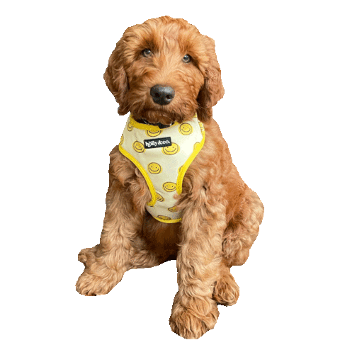 Doodle Sid Sticker by Morty The Pug