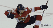 happy ice hockey GIF by NHL