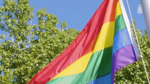 Gay Pride GIF by Great Big Story