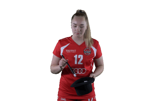 Sport Volleyball Sticker by LP Viesti