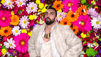 angry shout GIF by MAGIC GIANT