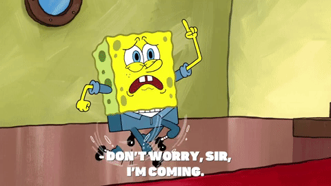 season 9 episode 3 GIF by SpongeBob SquarePants