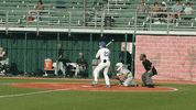 Home Run Swing Batter GIF by TCABB