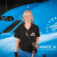 Royal Dutch Airlines Travel GIF by KLM