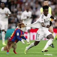 Vinicius Junior Pessi GIF