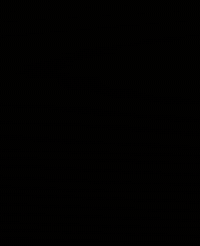 Adote Causaanimal GIF by Célio Studart