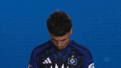 Look Up Hamburger Sv GIF by Bundesliga