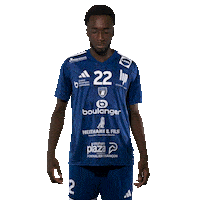 Celebration Hand Sticker by GRAND BESANÇON DOUBS HANDBALL