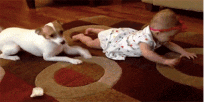 crawl GIF