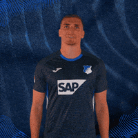 Grischa Prömel Sport GIF by TSG Hoffenheim