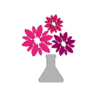 North Bay Flowers In Vase Sticker by The Kindness Project
