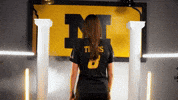 Tigers Missouri GIF by Mizzou Athletics