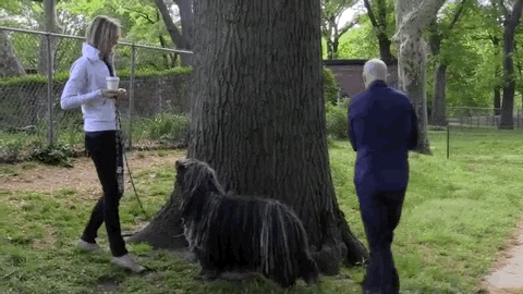 dog GIF by The Ed Bassmaster Show