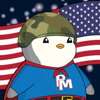 United States Usa GIF by Pudgy Penguins